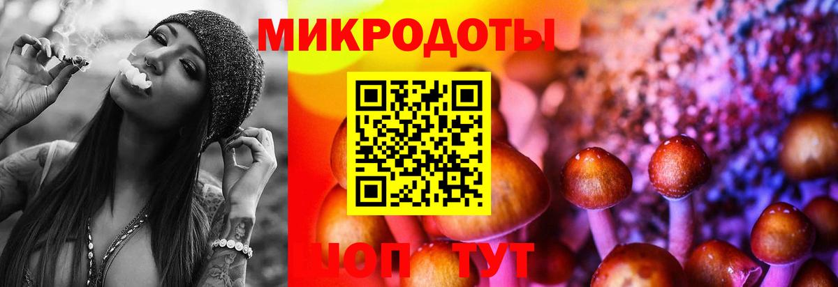 Псилоцибиновые грибы мицелий Сафоново